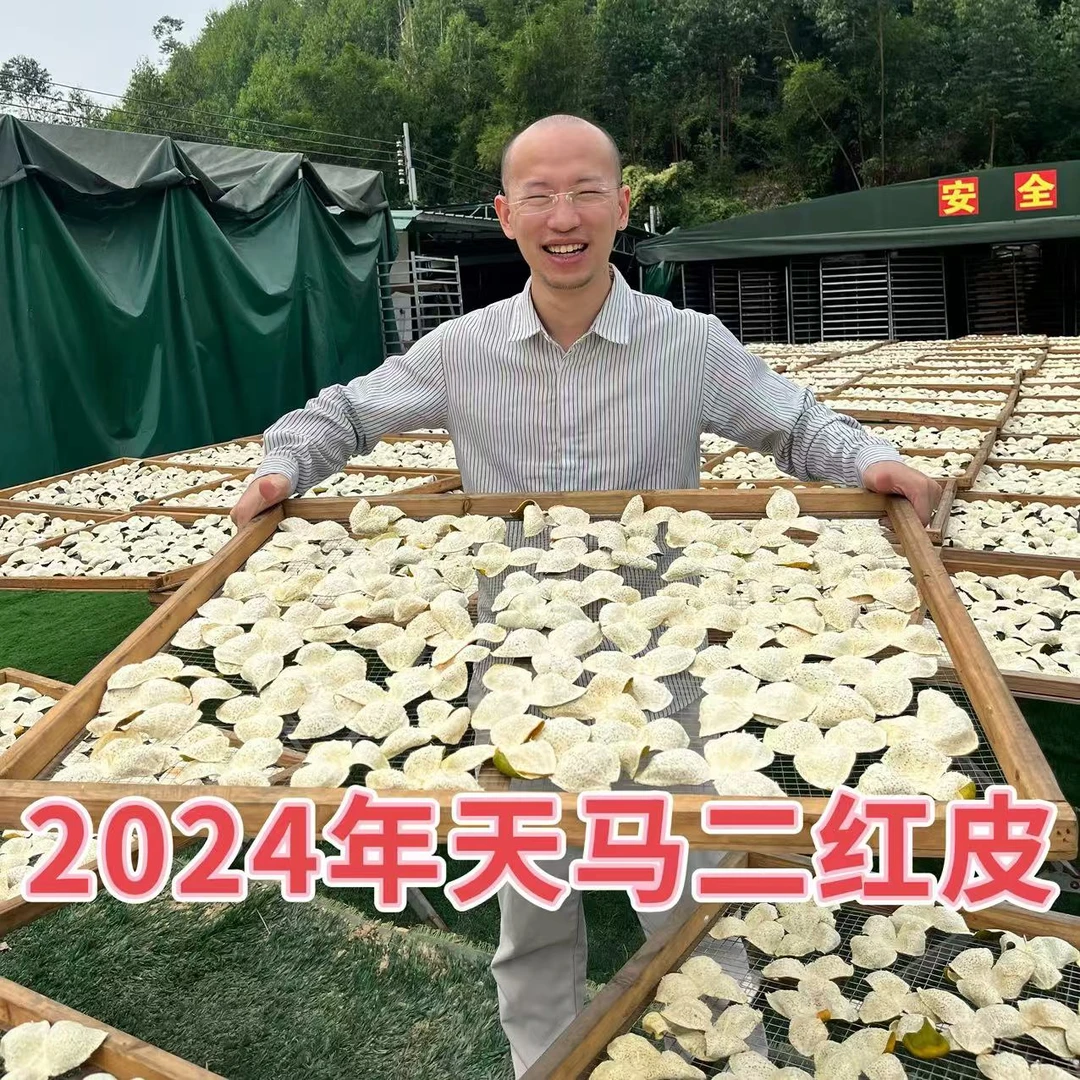 正宗新会特产2024年新会天马8年老树二红皮