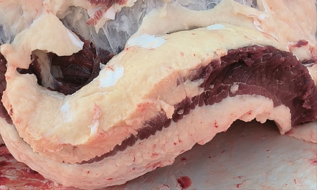 【牛胸口油】正宗鲁西黄牛肉四斤装新鲜农家原切清真
