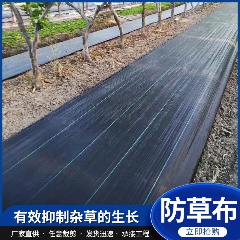 防草布农用果园黑色除草布抑草布透气渗水绿色园艺地布可打孔