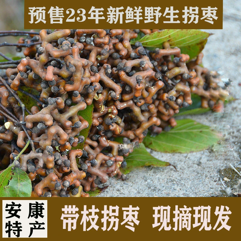 野生拐枣现摘新鲜万寿果鸡爪钩子生吃秦岭泡酒特产陕西包邮水果