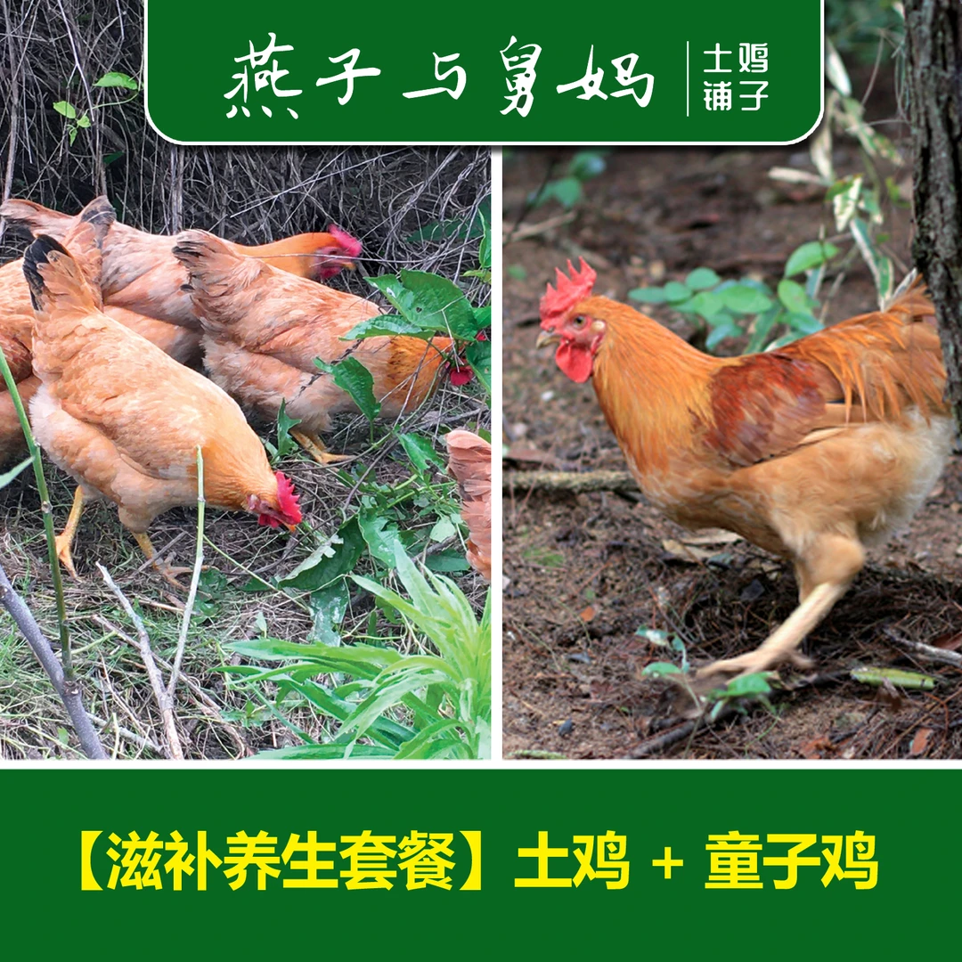 【1只土鸡+1只童子鸡】更适合孕产妇发育期孩子的土鸡·现杀顺丰到家