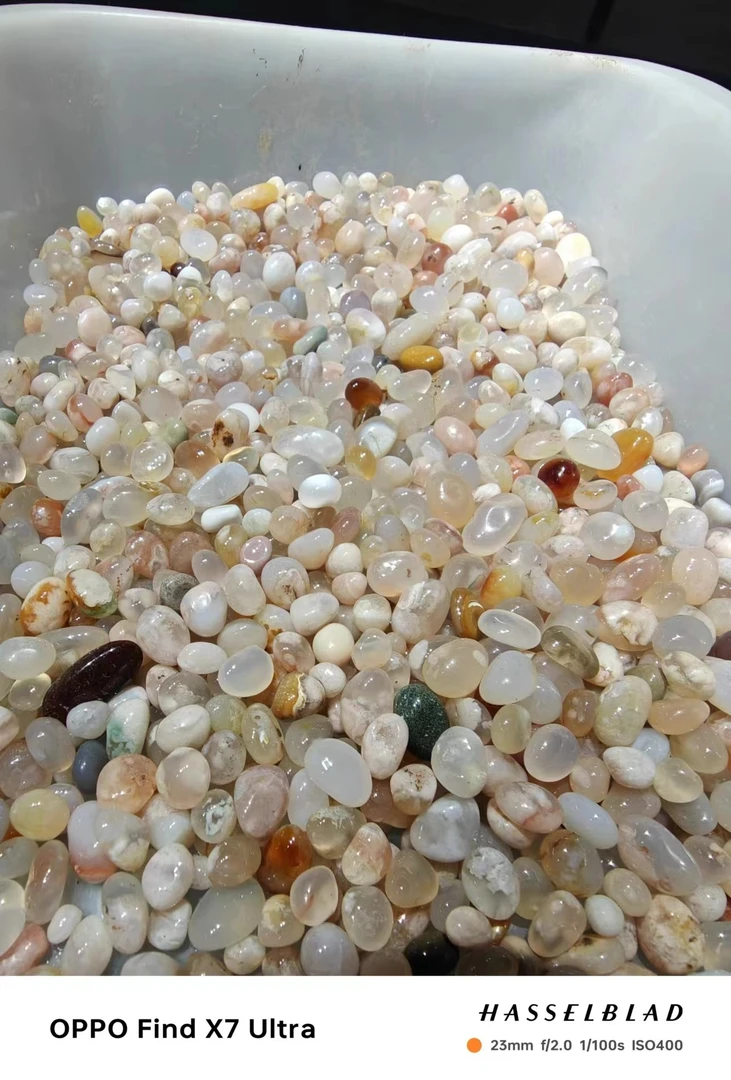 阿拉善奇石（珊海奇石批发）观赏 展示
