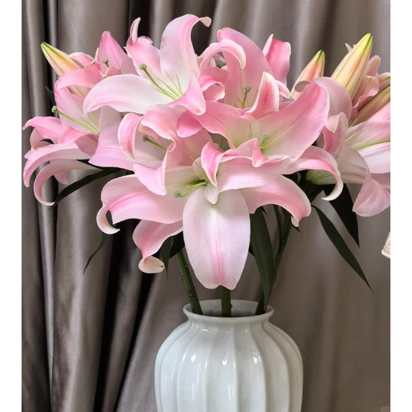 星光 单瓣香水百合 两单升顺丰|京东|EMS