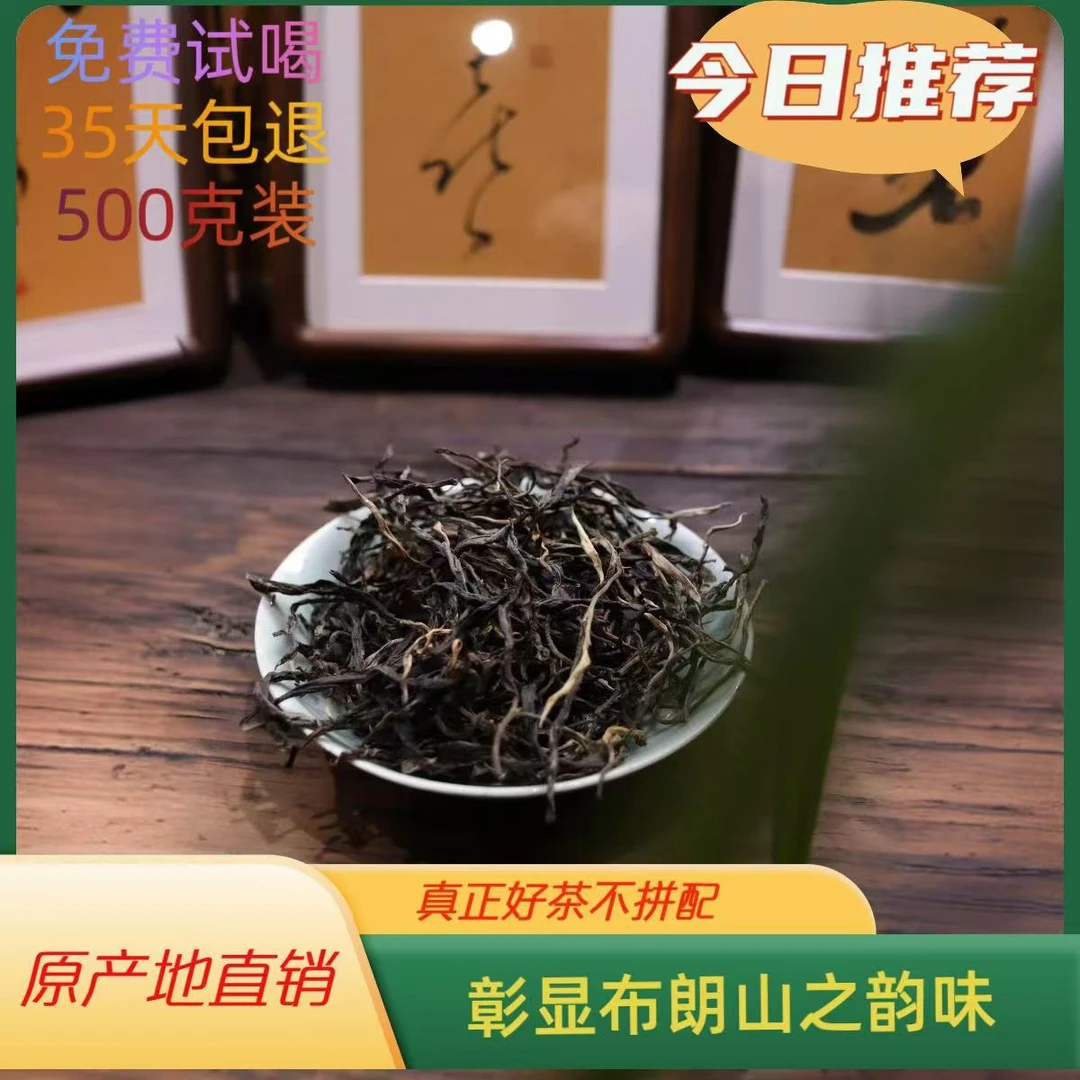 【开播福利】布朗山六十四寨2024年布朗春韵【生茶】500g支持试喝50g