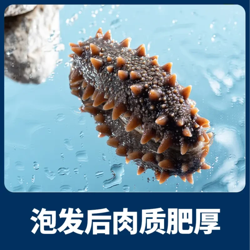 双十一先享【国标特级】20小时冷水免煮速发辽参滋补纯淡干海参30根