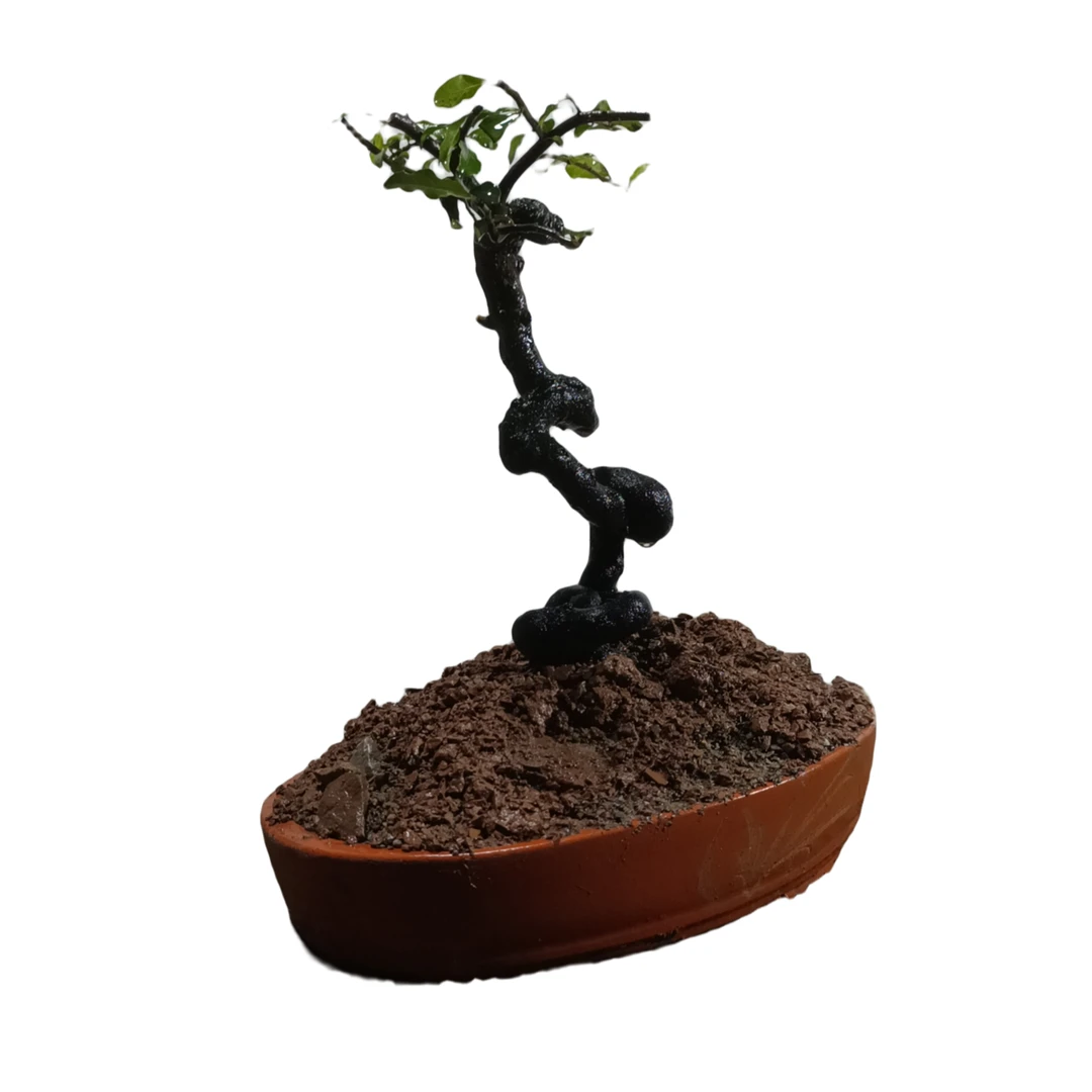 金弹子素材一物一链接