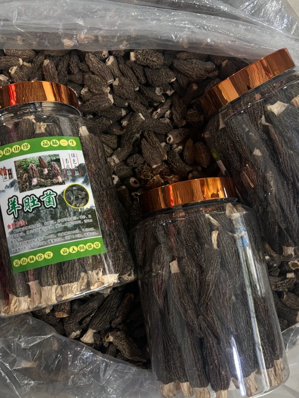 柳条黑个送礼款羊肚菌