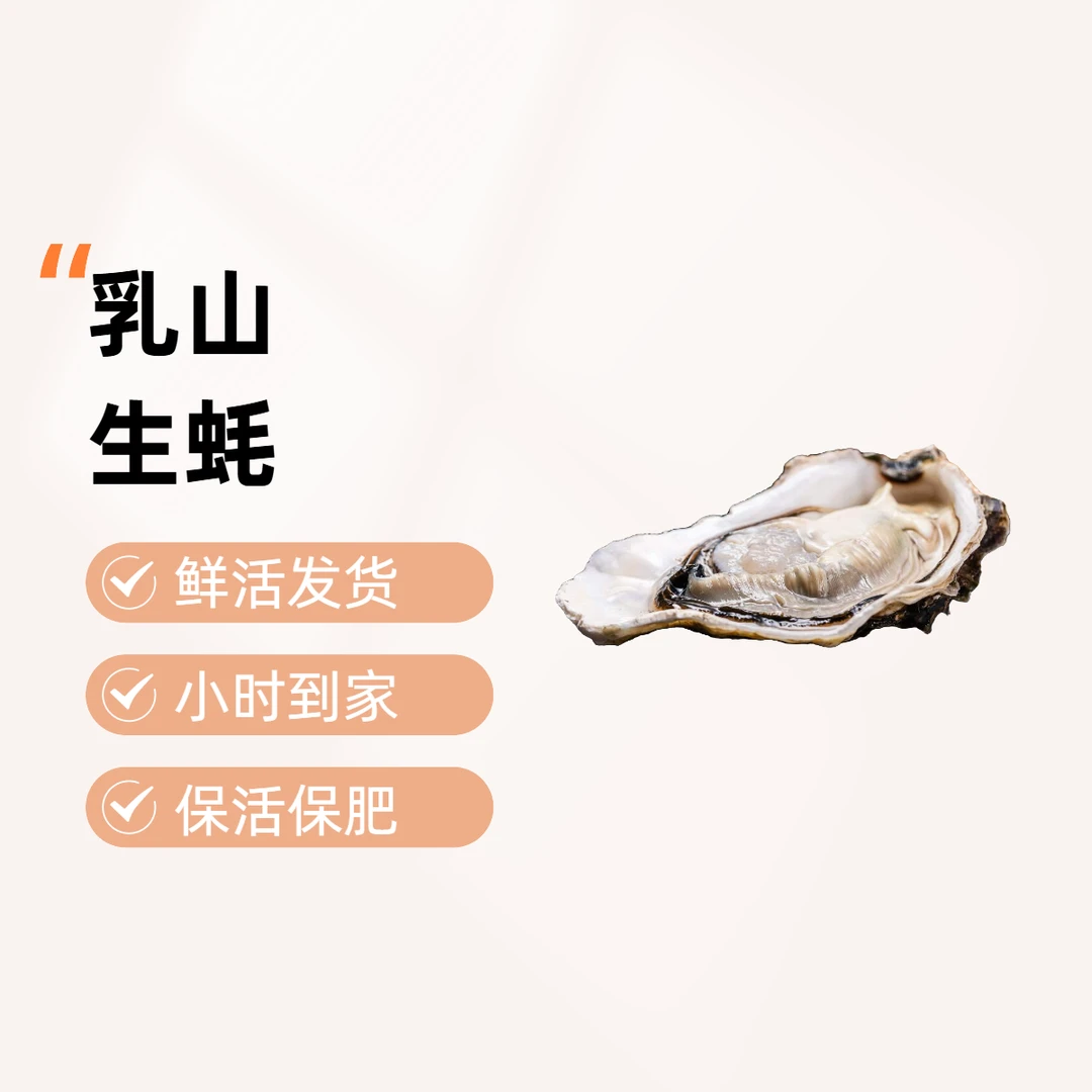 【包肥包活】乳山生蚝