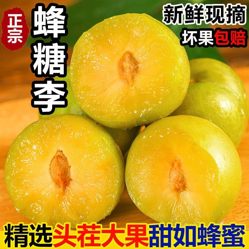 【顺丰速运】四川正宗蜂糖李新鲜水果李子脆甜3/5斤净重包邮