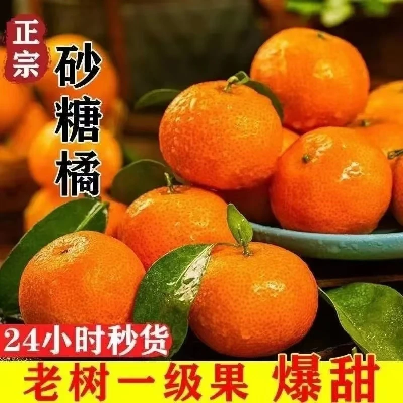 广西砂糖橘新鲜水果香甜可口现摘现发