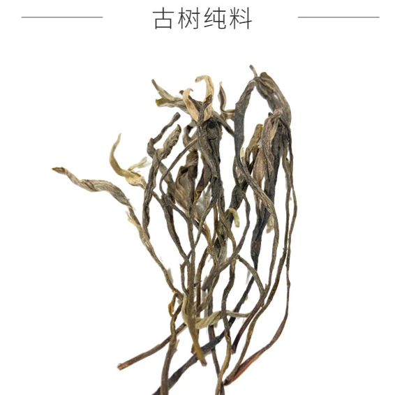 2024年班盆老寨古树头春散料 高端云南勐海普洱生茶精选好茶