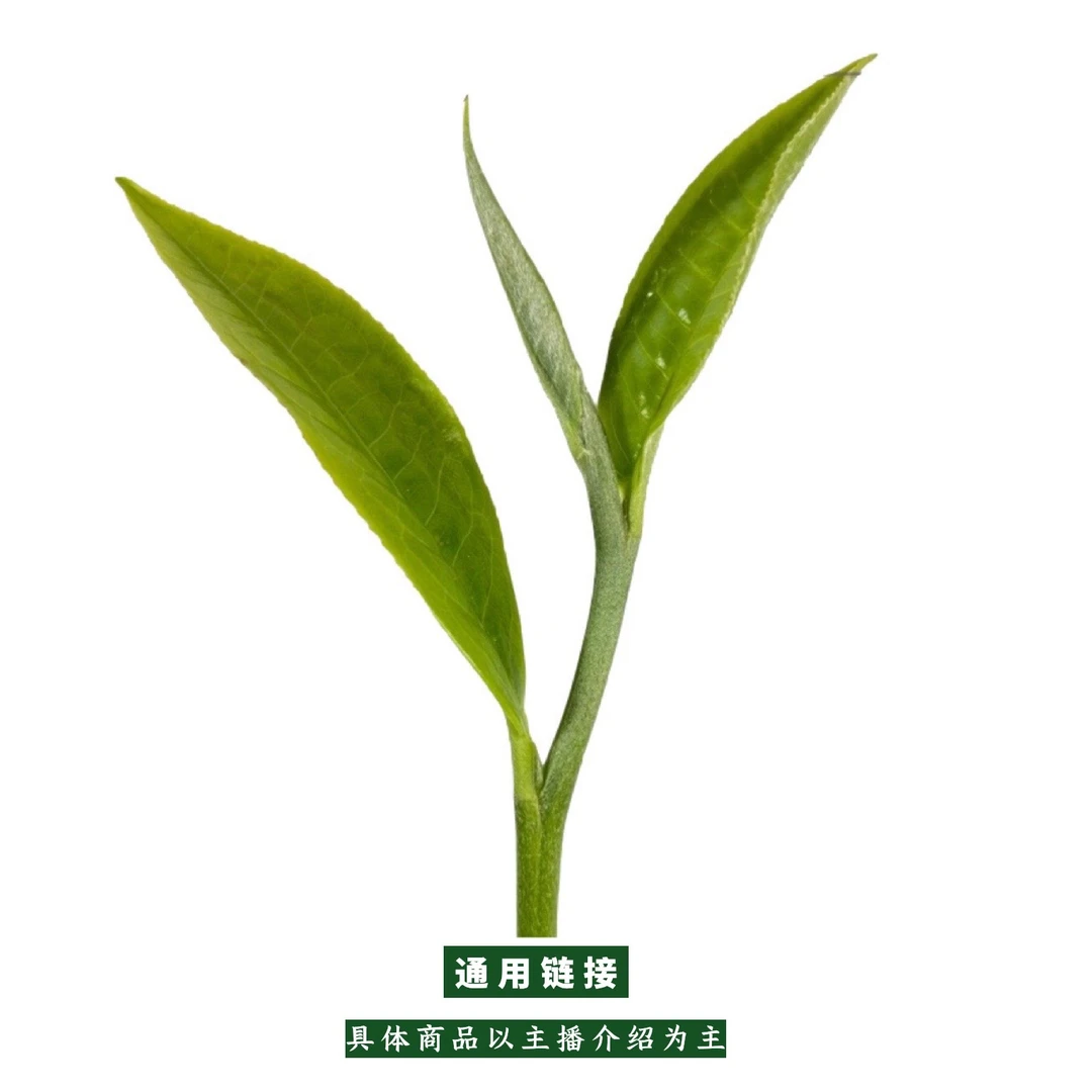 云南茶叶生茶白茶熟茶定制专拍，以主播讲解为主！