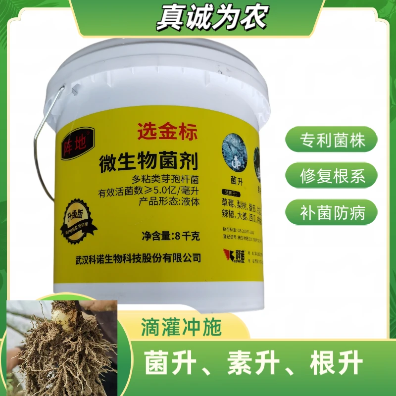 阵地：多粘类芽孢杆菌微生物菌剂