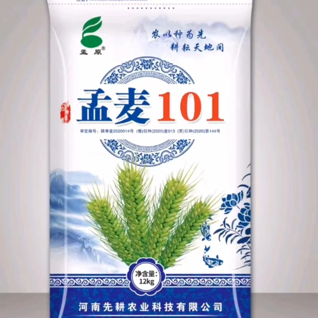 孟麦101（12kg）大穗大粒抗病抗寒产量高品种