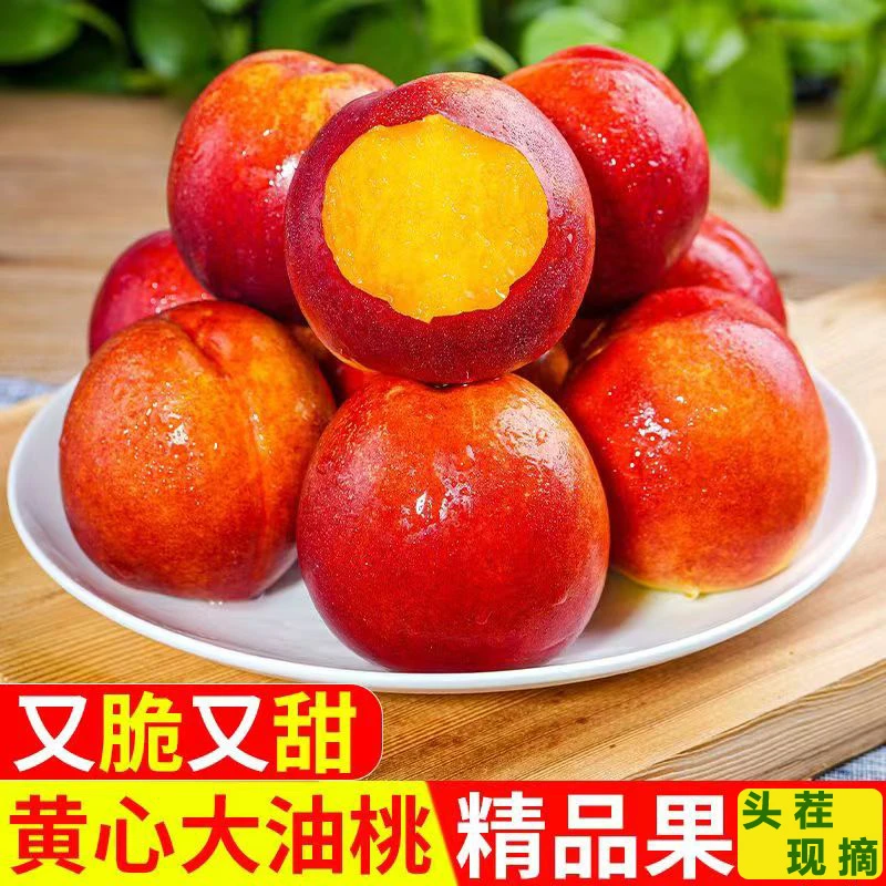 夏日尝鲜5斤头茬油桃新鲜当季水果山西爽脆黄心油桃香甜桃子现摘
