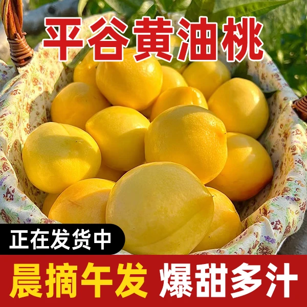 平谷大华山【黄油桃】核心产区5斤/10斤 口感脆甜 汁水充足 平谷现摘现发 精品大桃 礼盒装 送人送礼