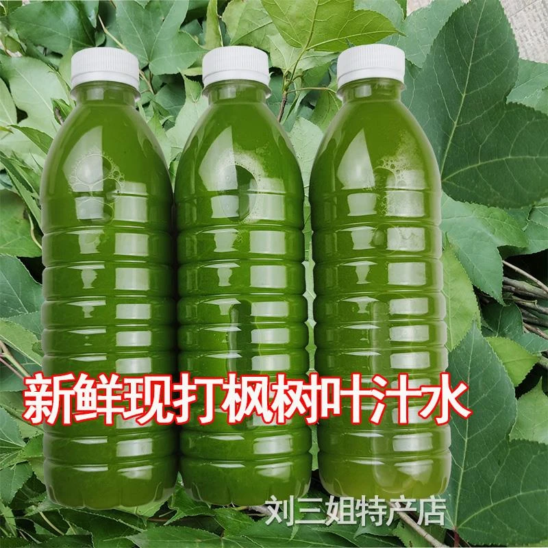 枫树叶汁水黑色新鲜广西三月三花米清明香枫叶五色糯米饭植物葱1g