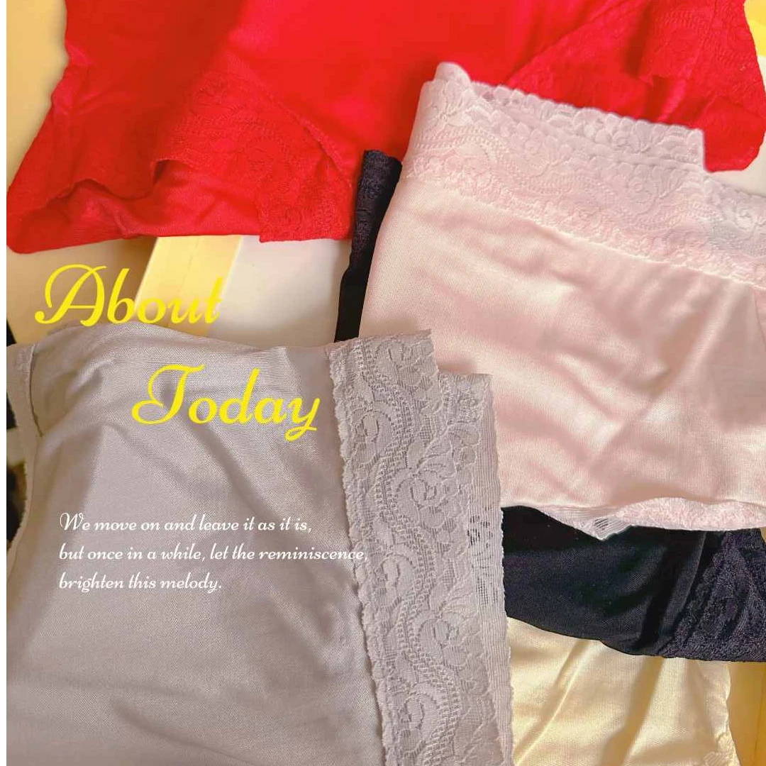 100%桑蚕丝新款女士双面真丝内裤DK-2119