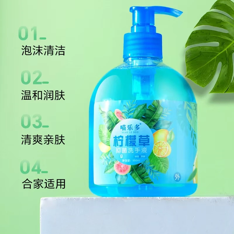 杀菌消毒保湿按压瓶家用家庭洗手液办公室上班族抑菌洗手液