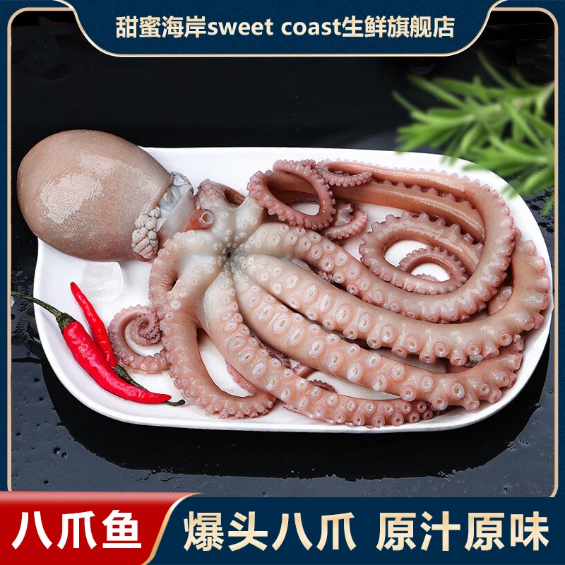 甜蜜海岸sweet coast  鲜冻八爪鱼长腿海捕海味  500克/包*3包