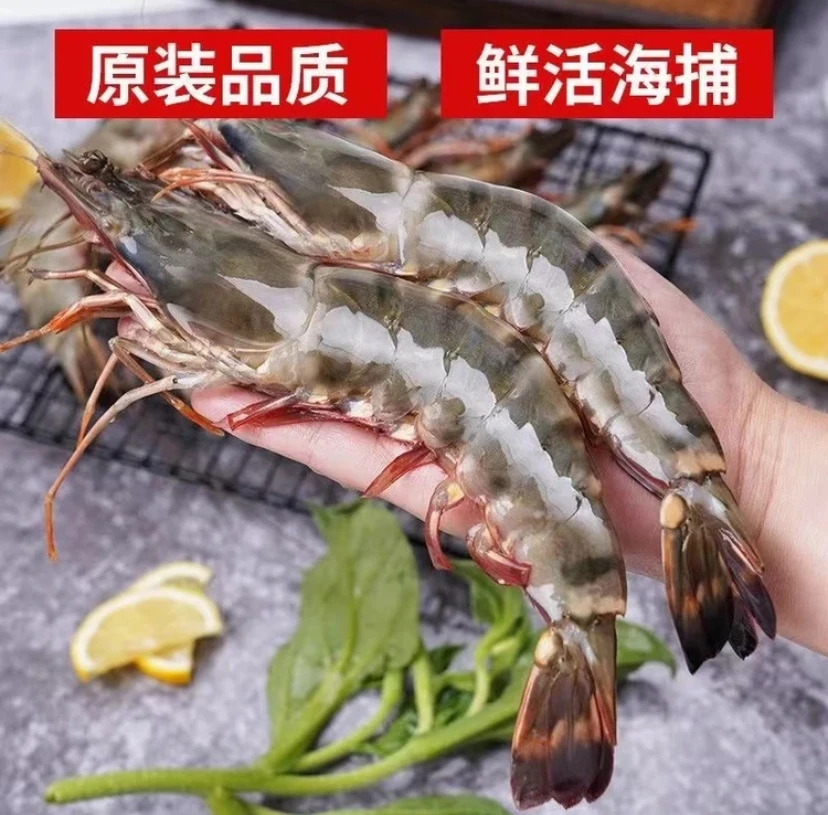 连云港发货2 鲜冻黑虎虾 老虎虾 20-30规格 3斤/盒 30-40只