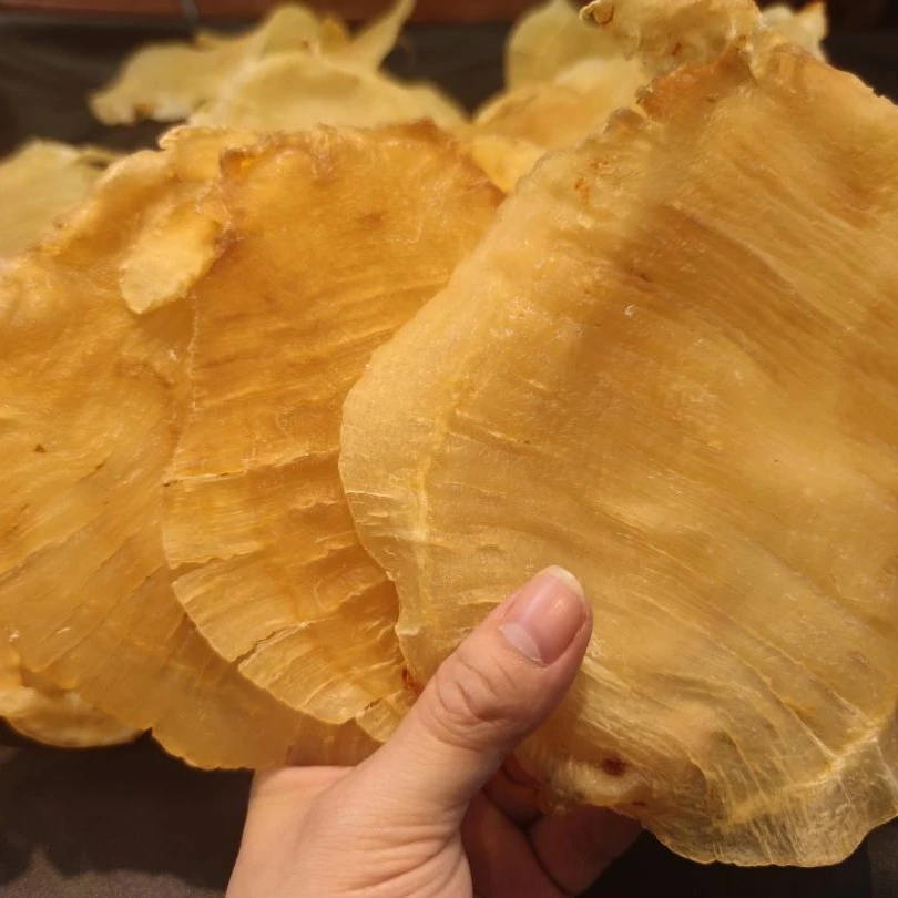 【膳养】 大耳赤嘴系列鳘鱼胶花胶滋补干货 100g-500g 中国广东