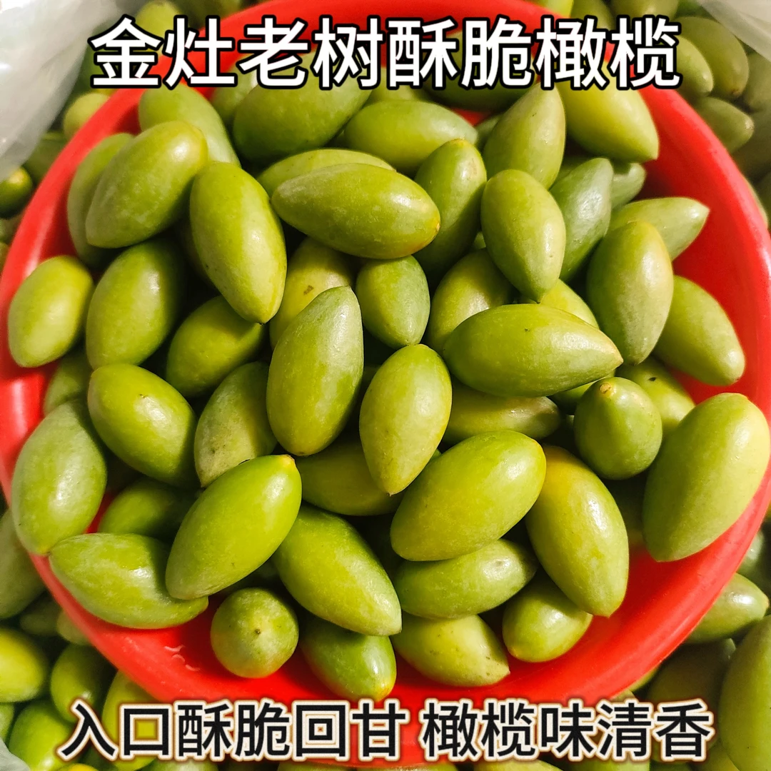 金灶本地脆香橄榄口感酥甘香脆青枣脆橄榄1斤装