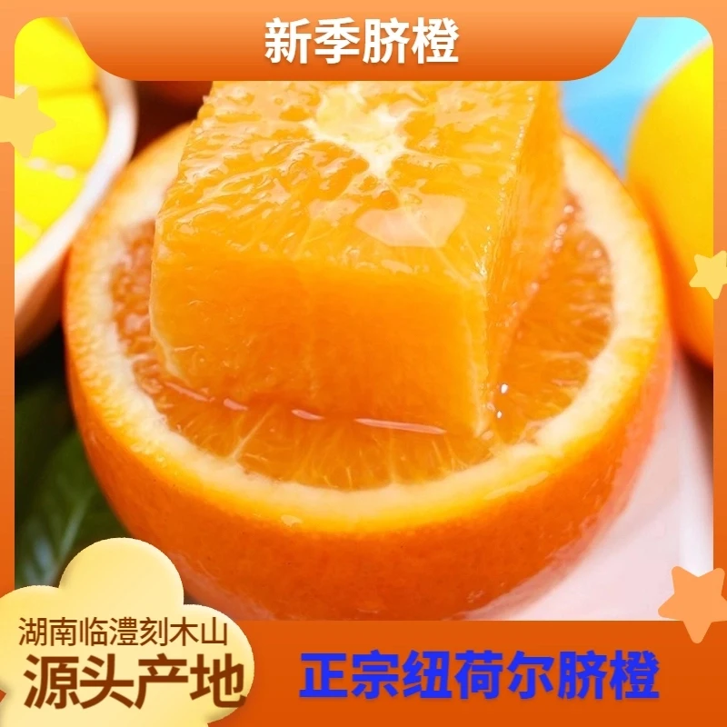 【美橙之乡】【湖南临澧】正宗纽荷尔脐橙新鲜应季水果3/5/9斤现摘