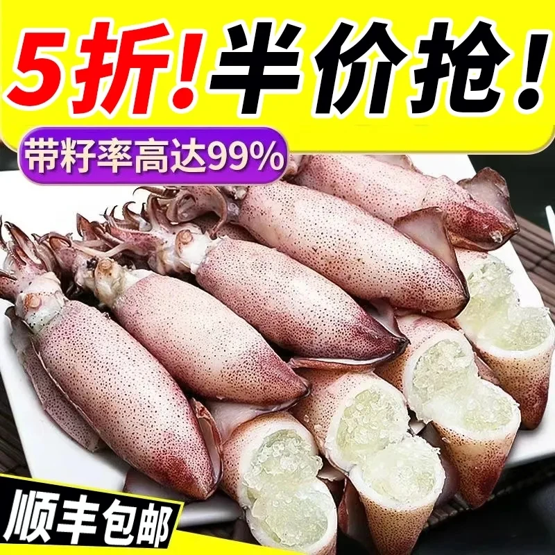 【高品质】新鲜全籽籽乌带籽海兔子满籽乌鱼笔管鱼墨鱼鱿鱼深海海捕
