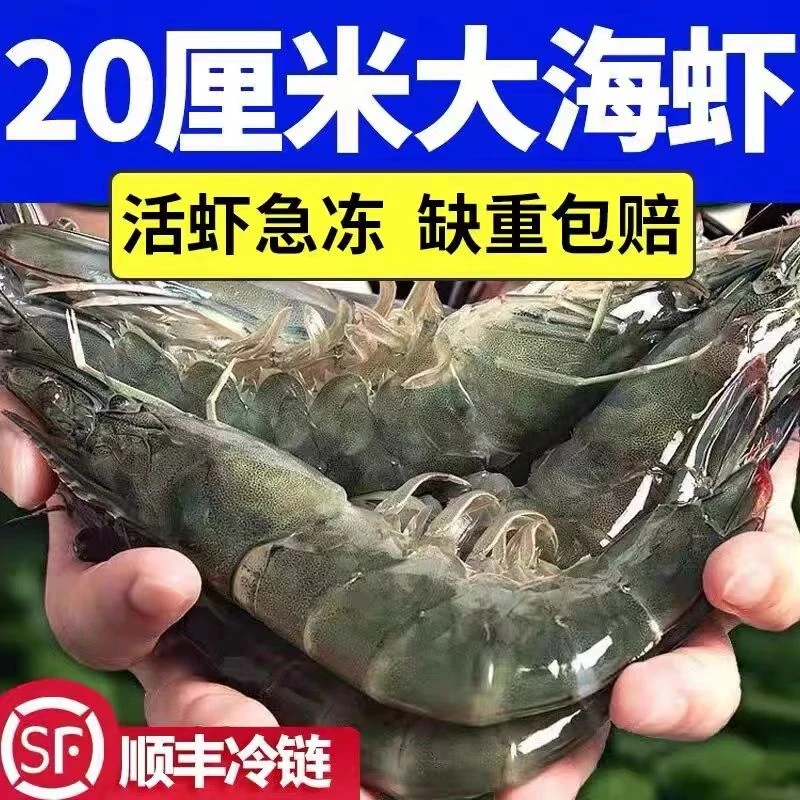 【冷链闪送】新鲜青岛大虾鲜活基围虾青虾冷冻鲜对虾海虾海捕大虾