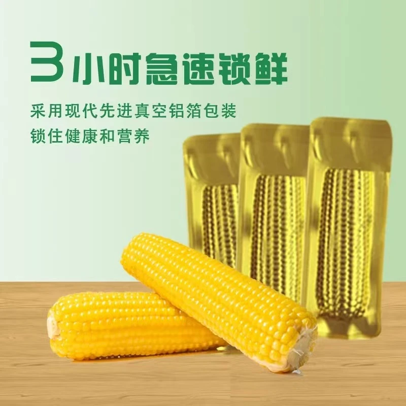 2024头茬新玉米 金色铝箔装240g*10根