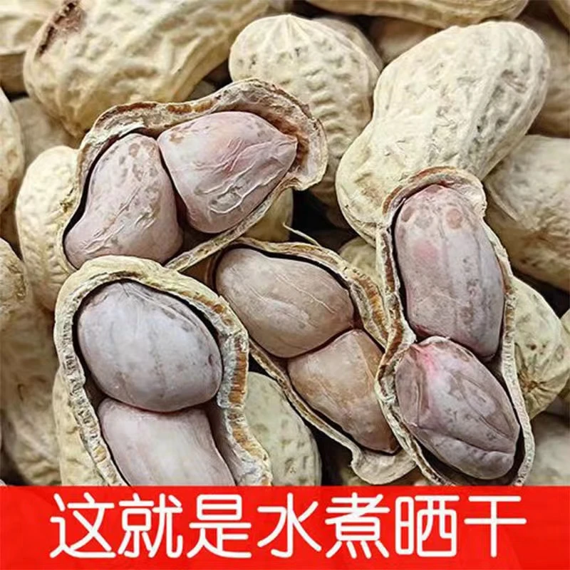 福利款  农家花生 脆香水煮晒干花生会脱皮水煮咸干花生 花生咸干