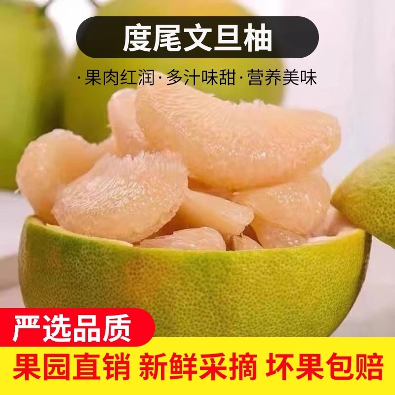 【 新鲜当季水果】正宗福建度尾文旦柚红心柚子老树文旦柚●京东包邮