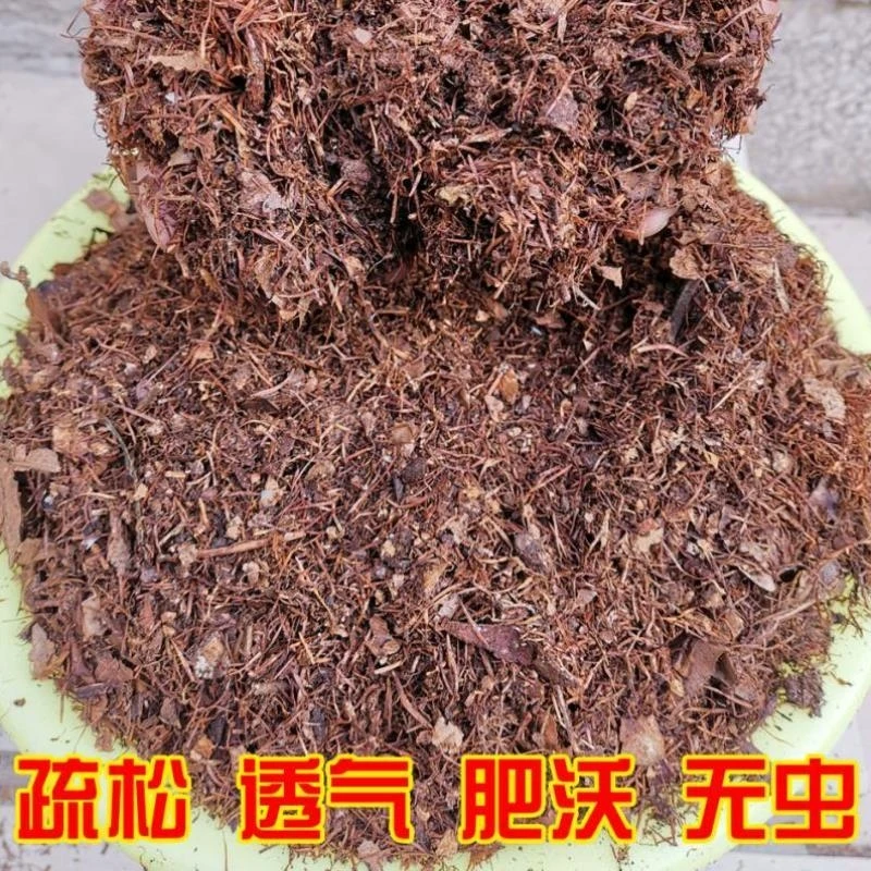 君子兰专用花土，透气，保肥，促生根，一袋9斤欢迎选购，