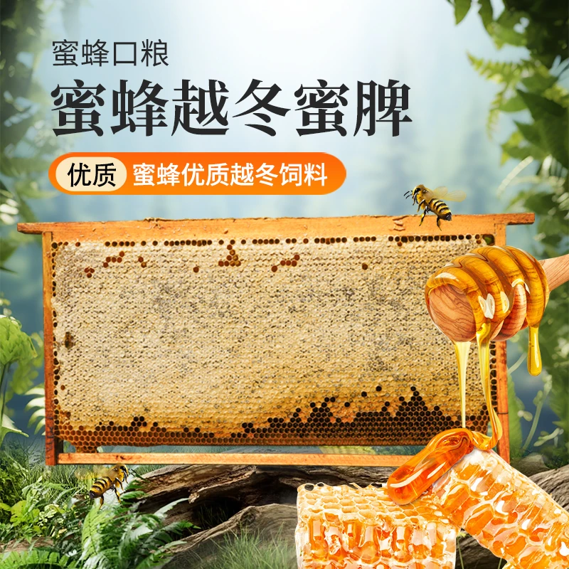 （糖脾）蜂蜜巢脾糖脾整张成熟蜜脾原框巢蜜蜜蜂越冬饲料