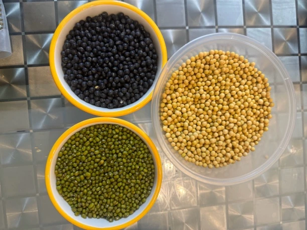 组合豆（黑豆+绿豆+芽豆）5斤包邮