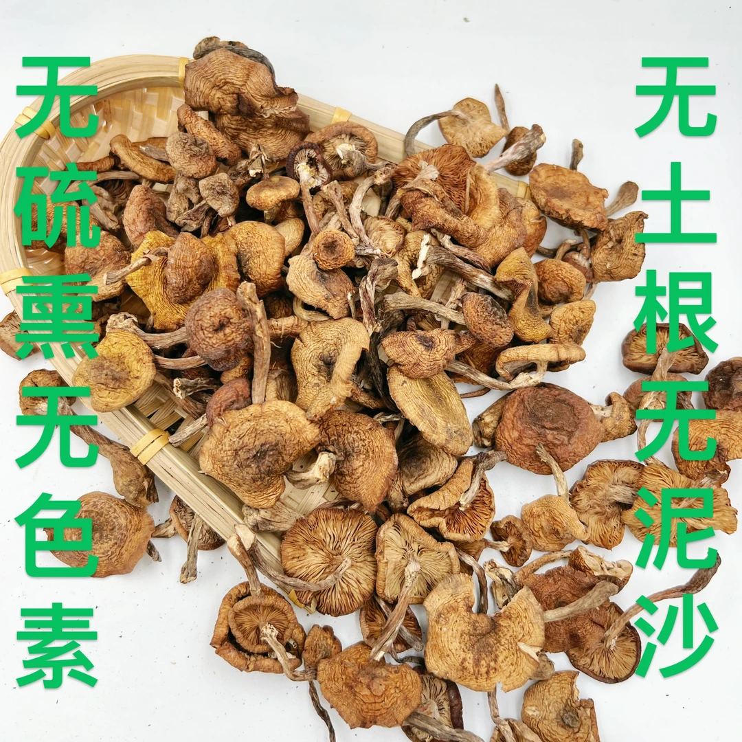 东北自然晾晒野生榛蘑东北特产小鸡炖蘑菇