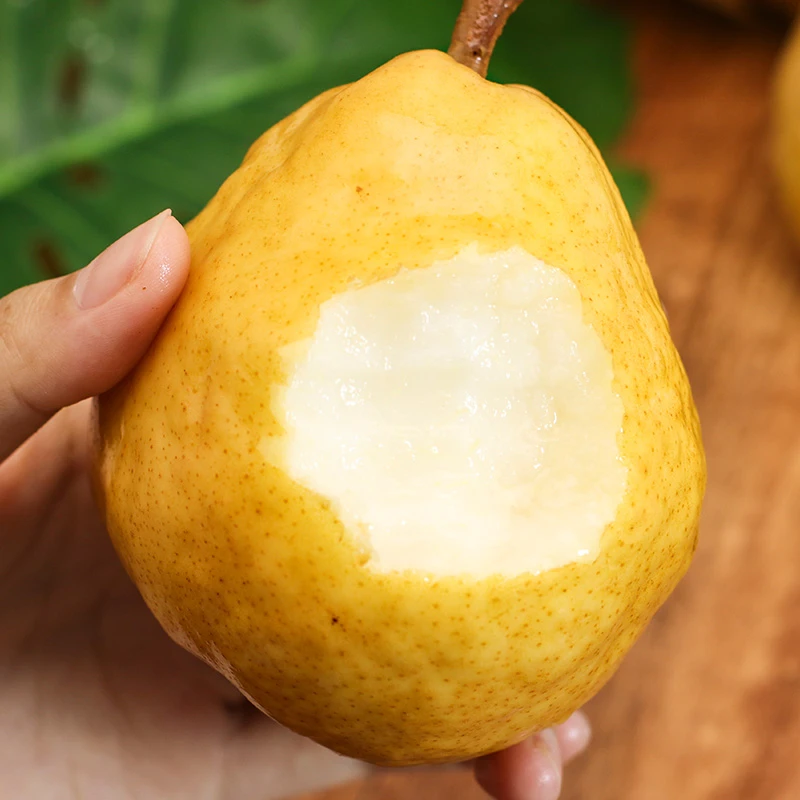 山东威海 即食丑梨 京东到家