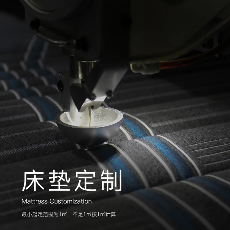 大自然床垫 呵护脊椎家用简约支持定制棕床垫 定制款折叠成人两用