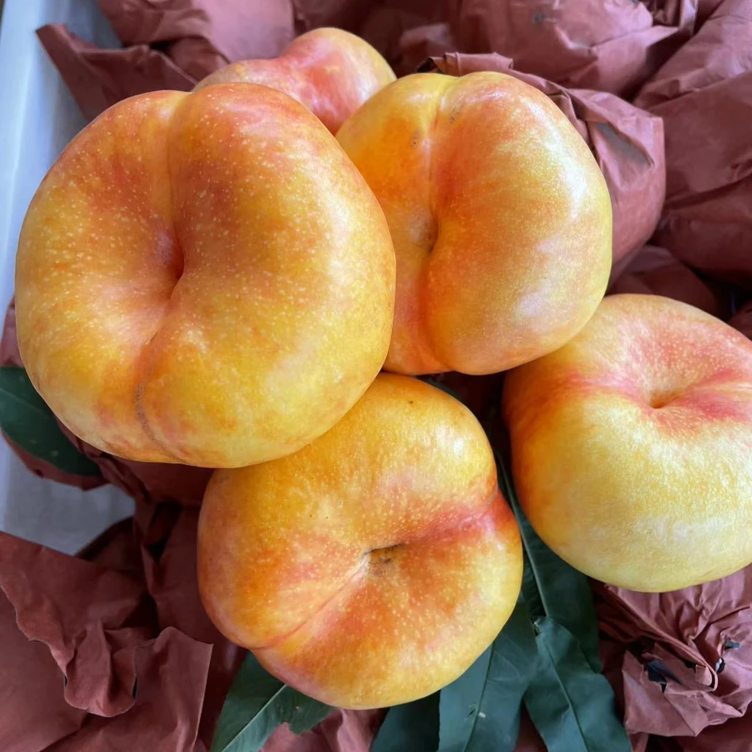 彩虹油蟠桃7-7品种新鲜蟠桃 桃味十足顺丰发货