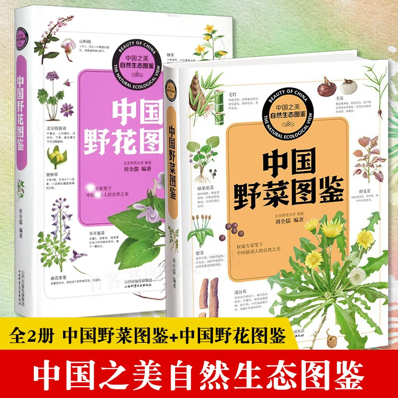 全两册中国野花图鉴+中国野菜图鉴 野菜的特征与识别 野菜知识采