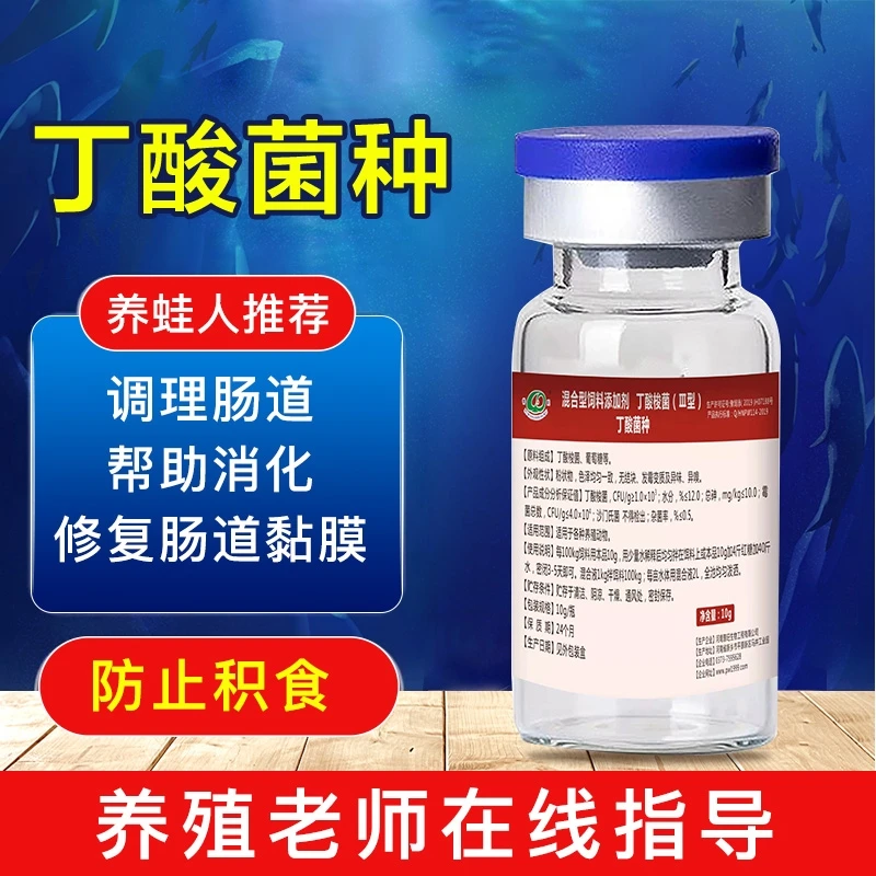 超浓缩活性丁酸菌种调理肠道修复肠道助消化防积食饲料水产养殖