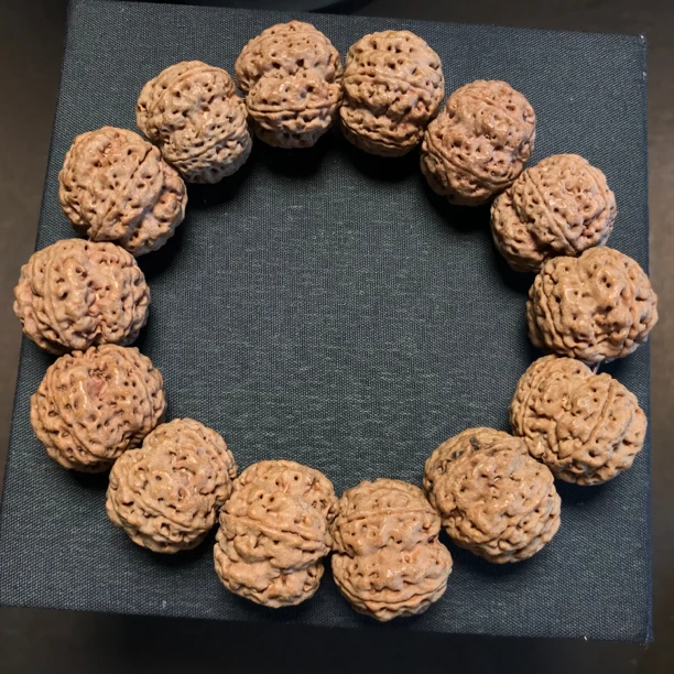 入门级五瓣大金刚菩提素串文玩好物（有裂正常）