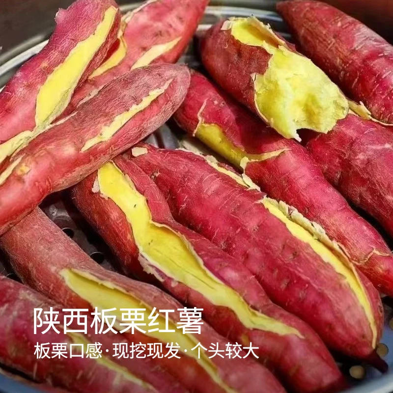 【新隆果时】陕西板栗红薯3斤3-6根/5斤4-10根