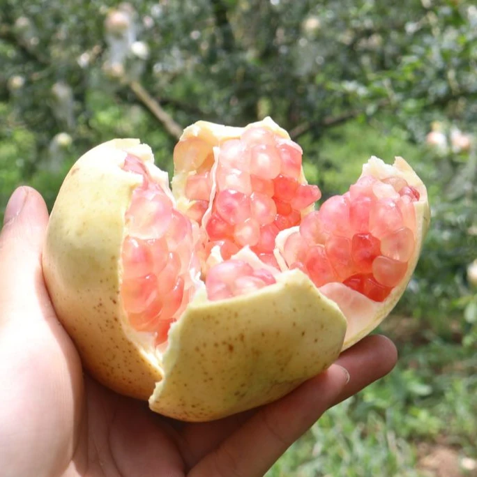 【新隆果时】云南蒙自老树石榴3斤/6斤饱满皮薄多汁