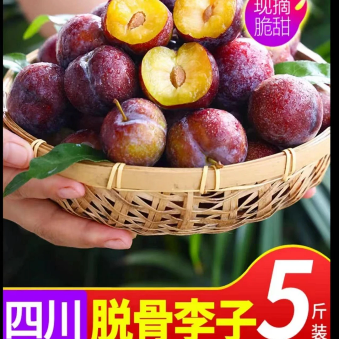 【脱骨李】脆红李四川眉山季水果现摘现发新鲜应果园直发脆爽多汁08