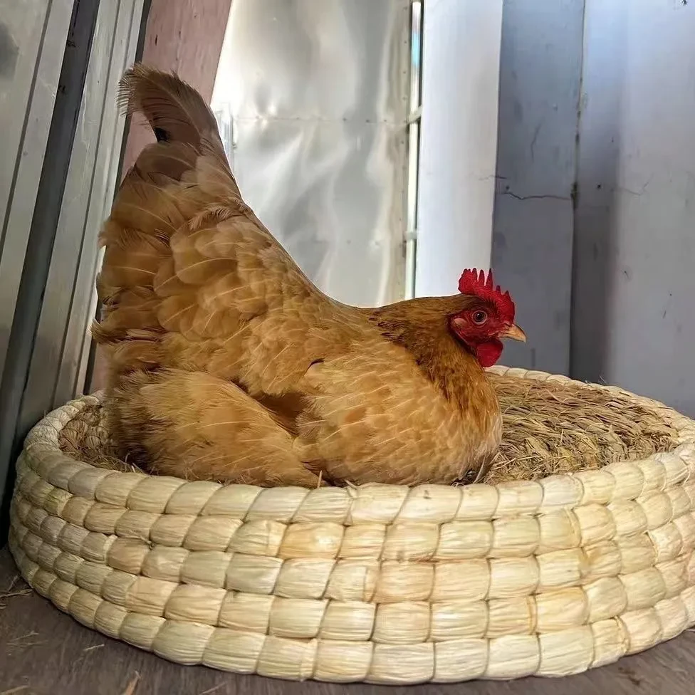 鸡生蛋窝户外散养 草编鸡窝下蛋窝家用 稻草鸡舍大号产蛋窝鹅