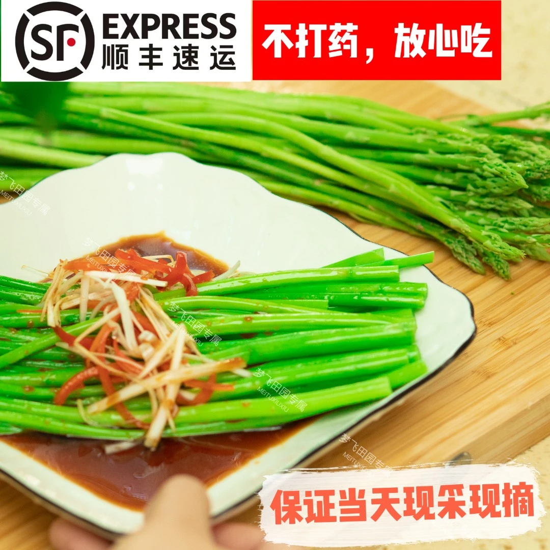 芦寓【3斤装春季头茬顺丰包邮当日笋精品嫩笋】现采现发产地直发
