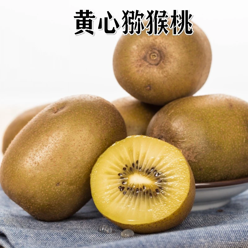 新品种特大黄金奇异果猕猴桃树苗黄心嫁接鸭嘴猕猴桃苗南北方种植