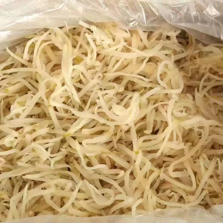 农家大头菜丝蔬菜山货土货农产品SC